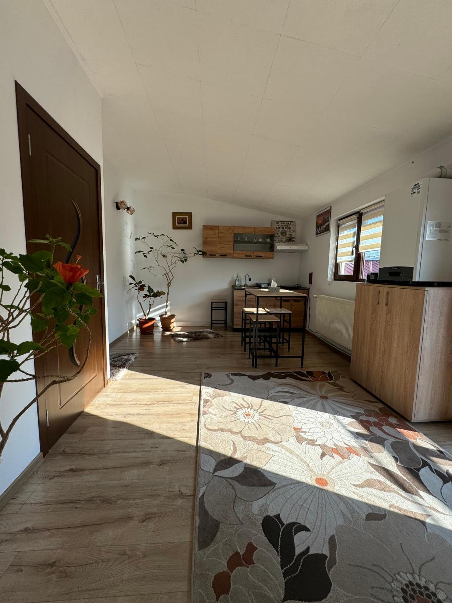 Victor Residence 38 บูคาเรสต์ ภายนอก รูปภาพ