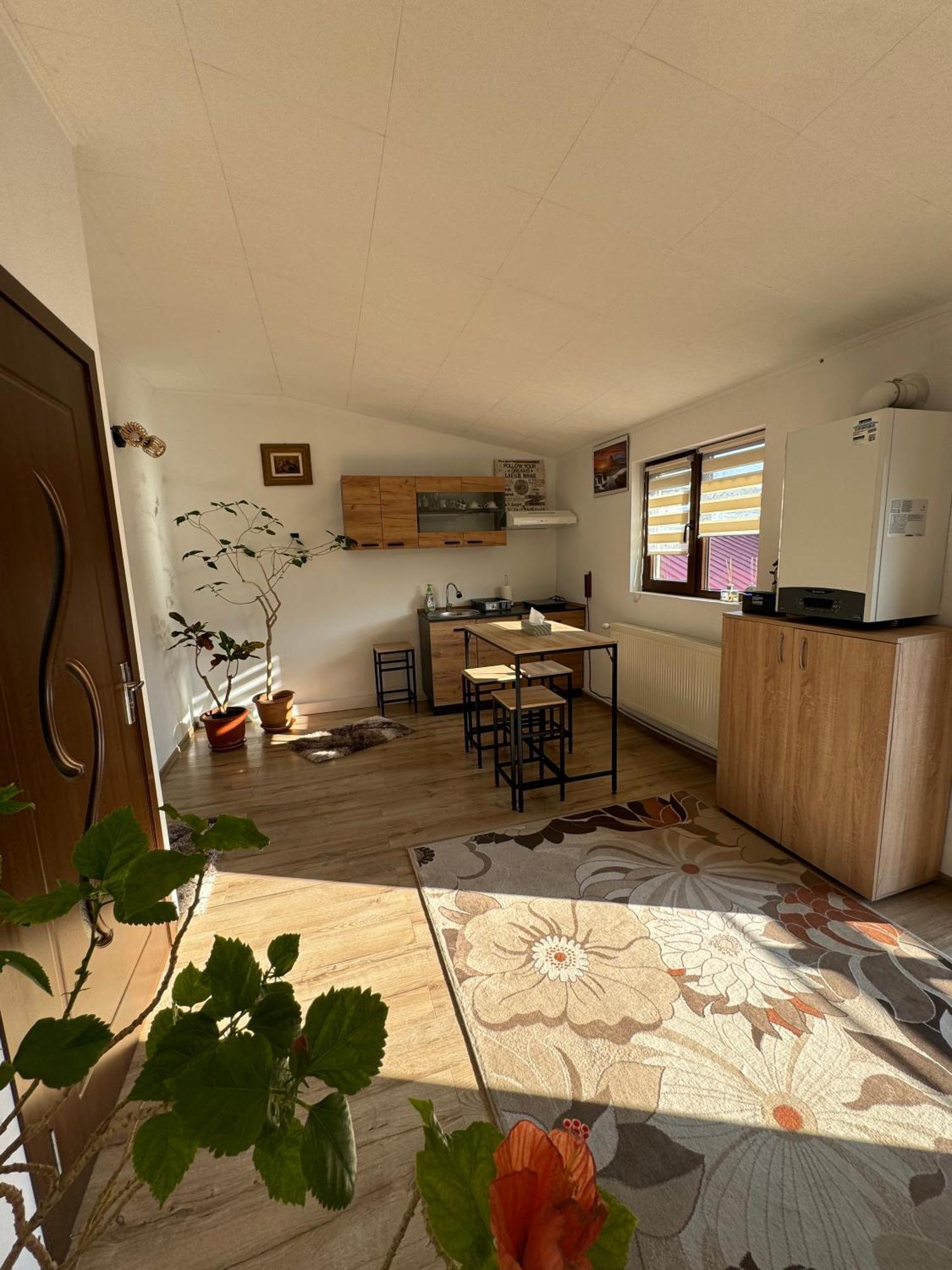 Victor Residence 38 บูคาเรสต์ ภายนอก รูปภาพ