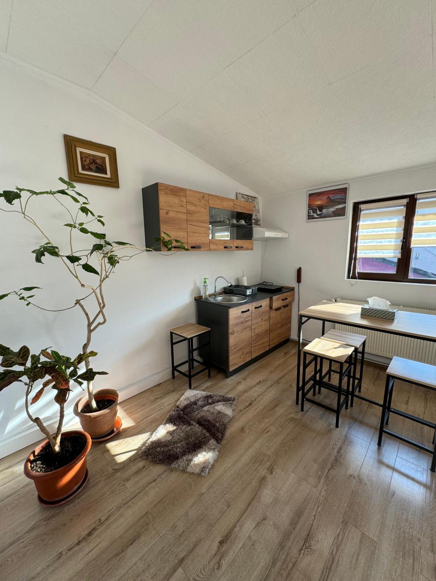 Victor Residence 38 บูคาเรสต์ ภายนอก รูปภาพ
