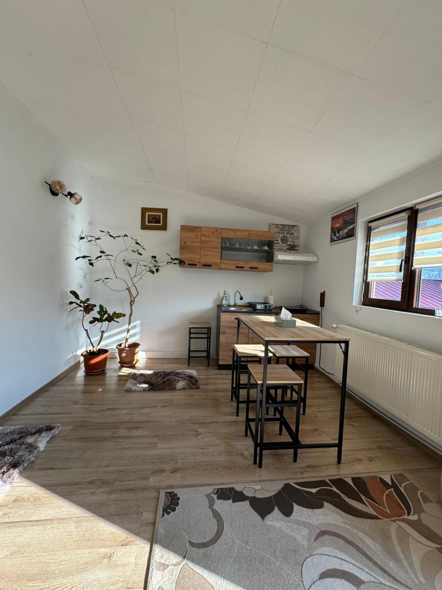Victor Residence 38 บูคาเรสต์ ภายนอก รูปภาพ